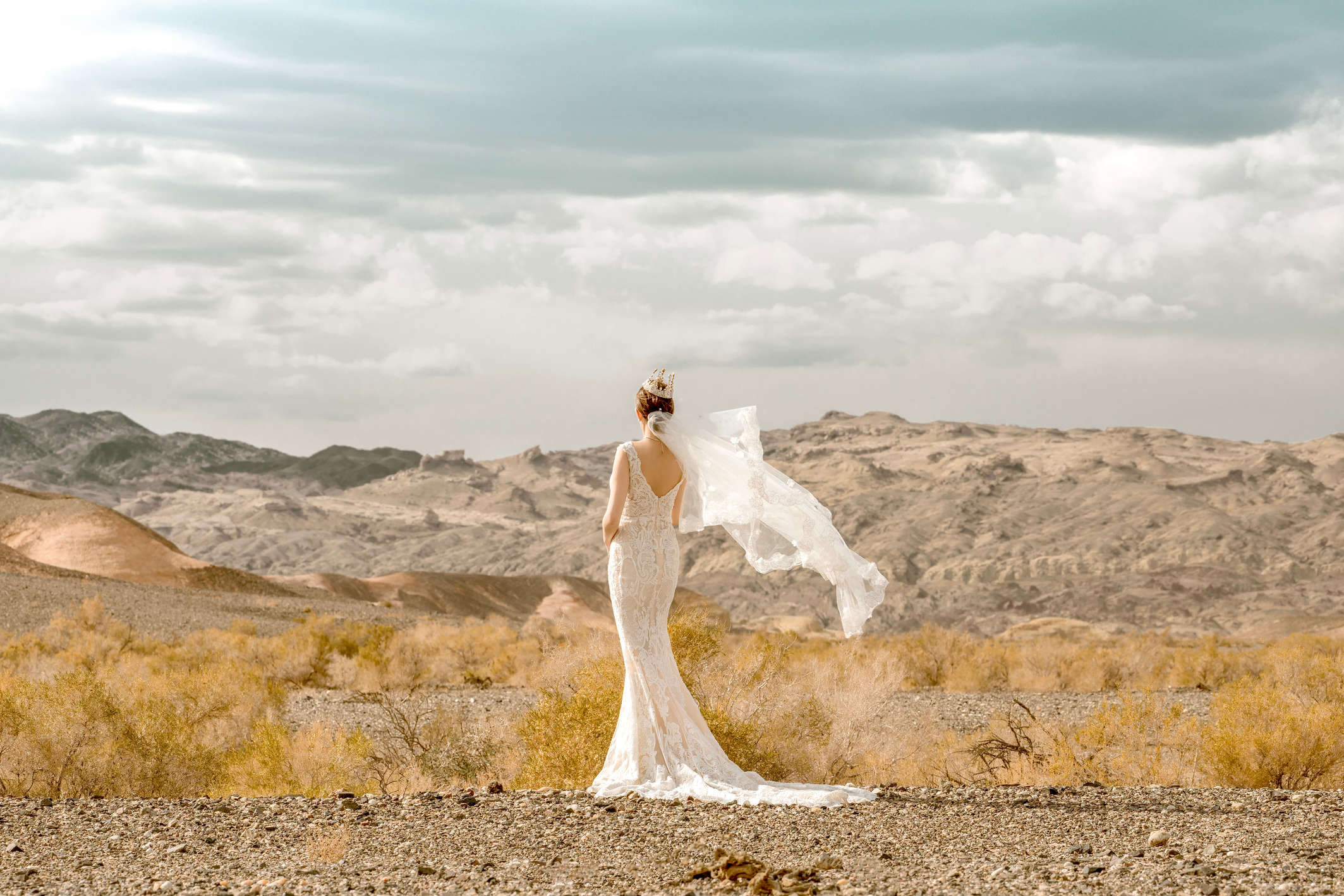 Woman in White Wedding Dress Standing on Brown Field